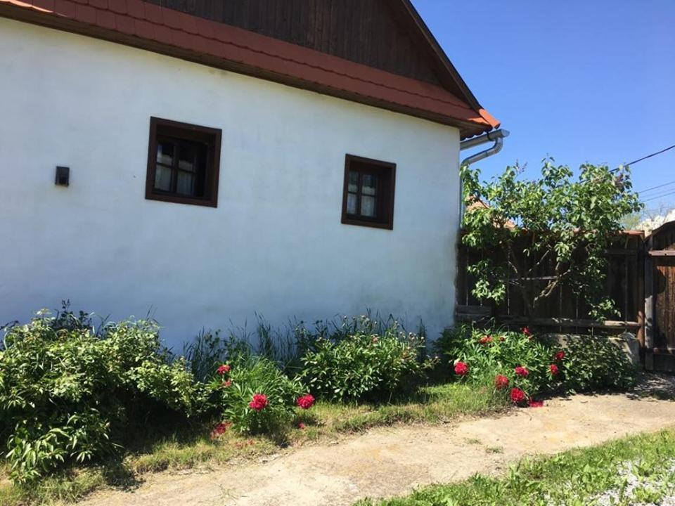 Miklos Lak Ocna de Sus Экстерьер фото