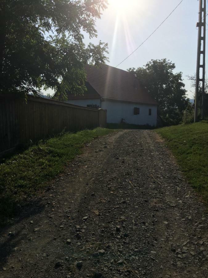 Miklos Lak Ocna de Sus Экстерьер фото